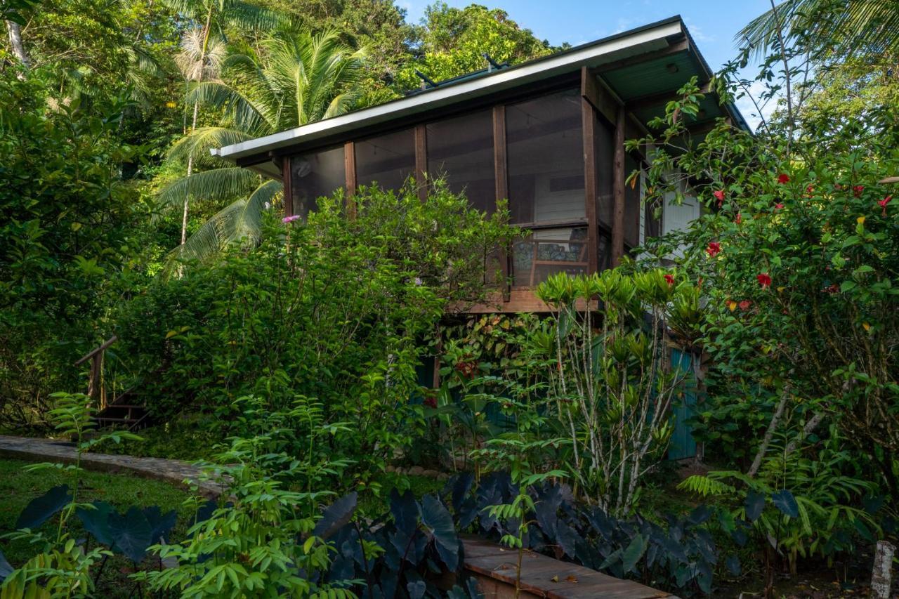 Roam Yoga & Wellness Lodge Bocas del Toro Exterior foto