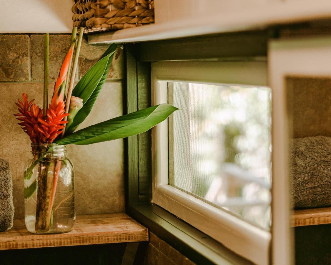Roam Yoga & Wellness Lodge Bocas del Toro Exterior foto