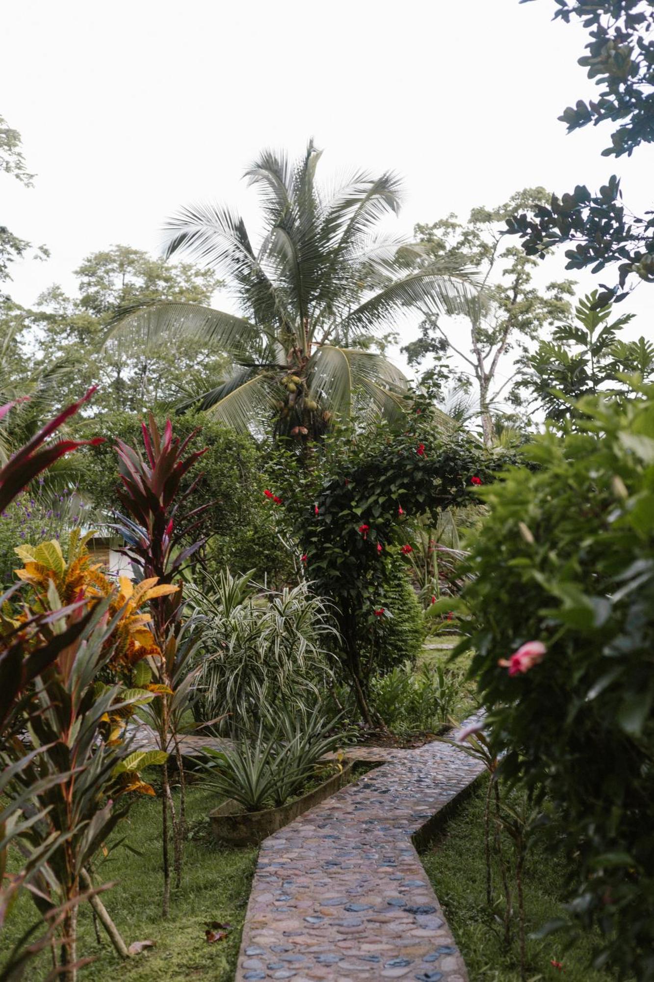 Roam Yoga & Wellness Lodge Bocas del Toro Exterior foto