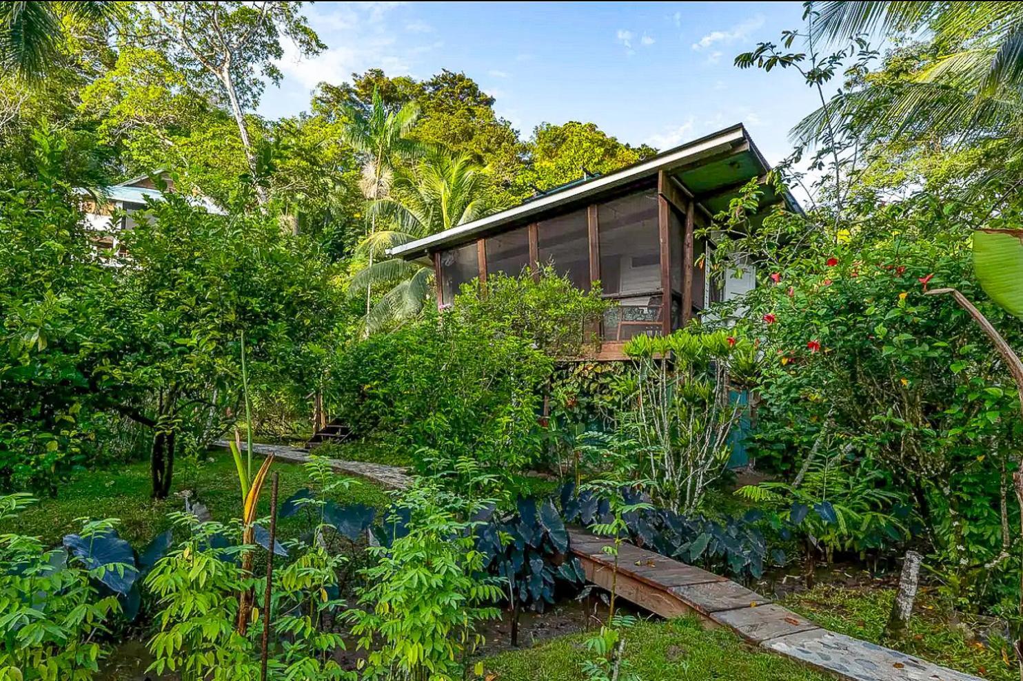 Roam Yoga & Wellness Lodge Bocas del Toro Exterior foto
