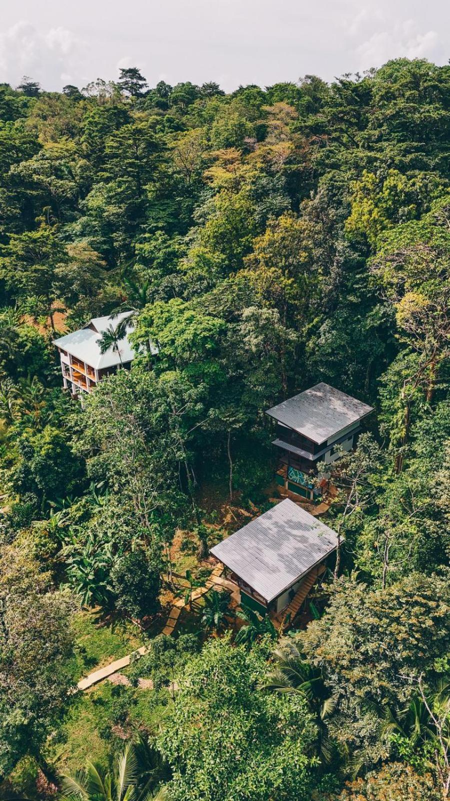 Roam Yoga & Wellness Lodge Bocas del Toro Exterior foto